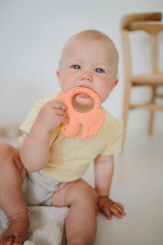 Natruba - Teether Parrot - Orange - Laadlee