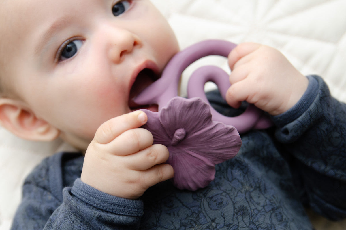 Natruba - Teether Hawaii Flower - Purple - Laadlee