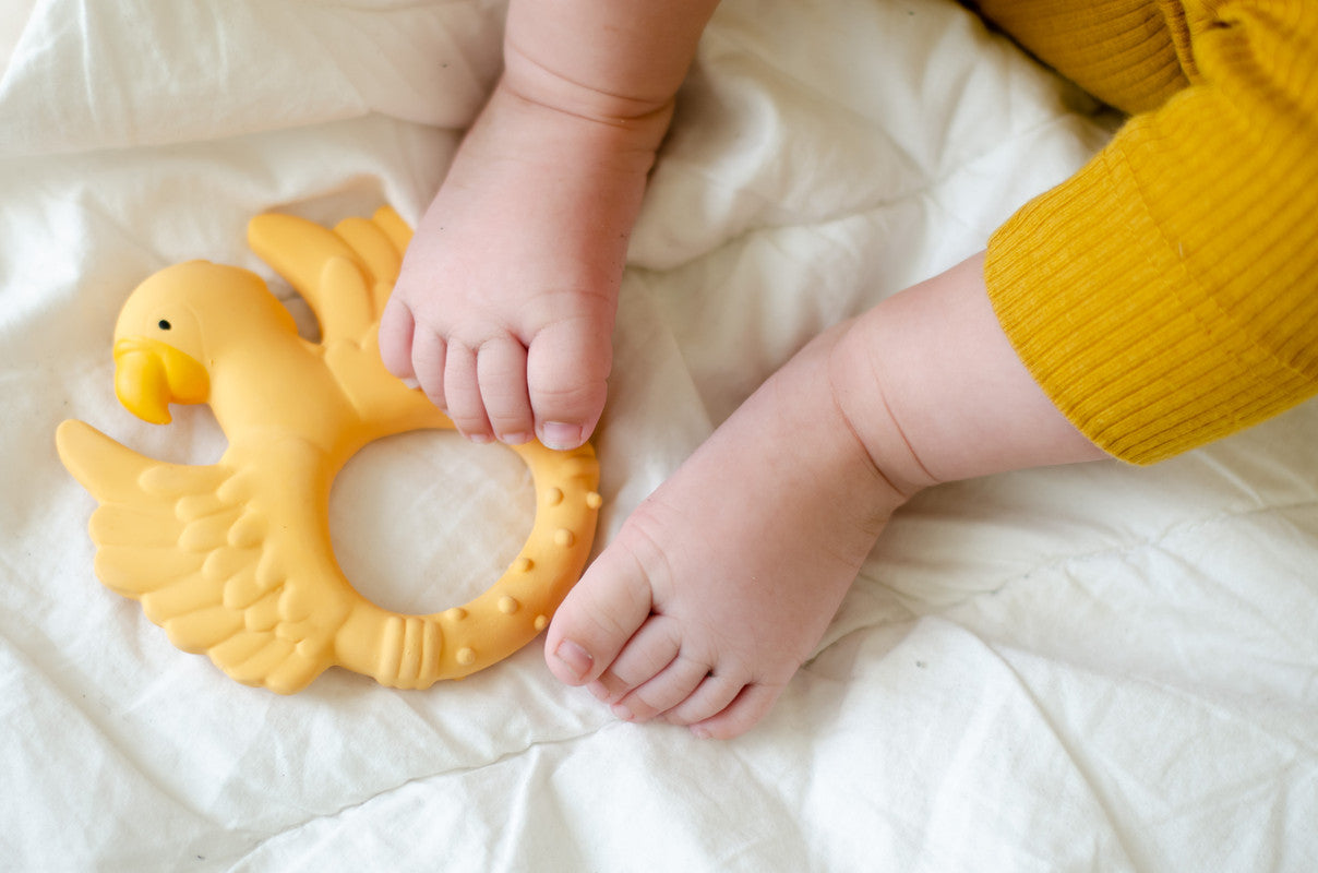 Natruba - Teether Parrot - Yellow - Laadlee