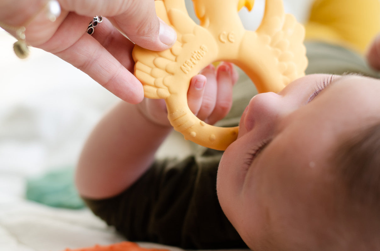 Natruba - Teether Parrot - Yellow - Laadlee