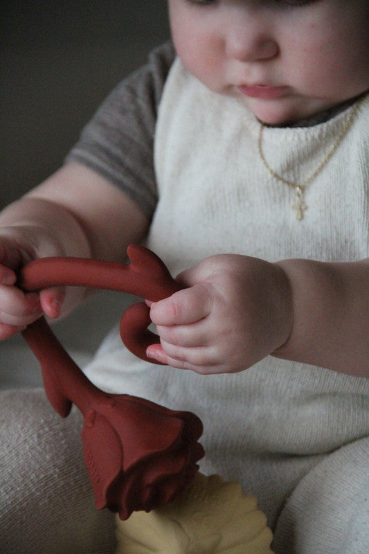 Natruba - Teether Rose - Red - Laadlee