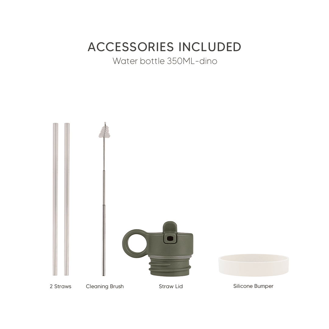 Citron Stainless Steel Water Bottle 250ml - Dino - Laadlee