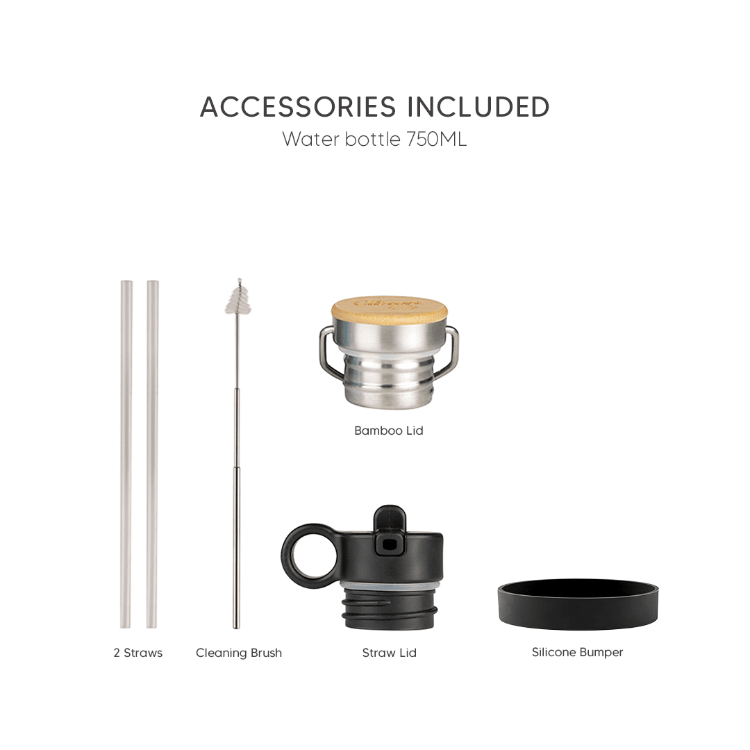 Citron Stainless Steel Water Bottle 750ml - Black - Laadlee