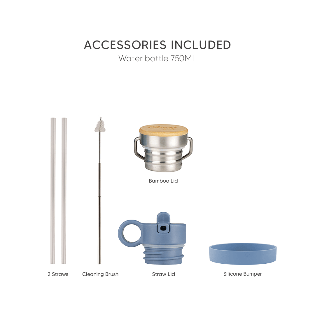 Citron Stainless Steel Water Bottle 750ml - Blue - Laadlee