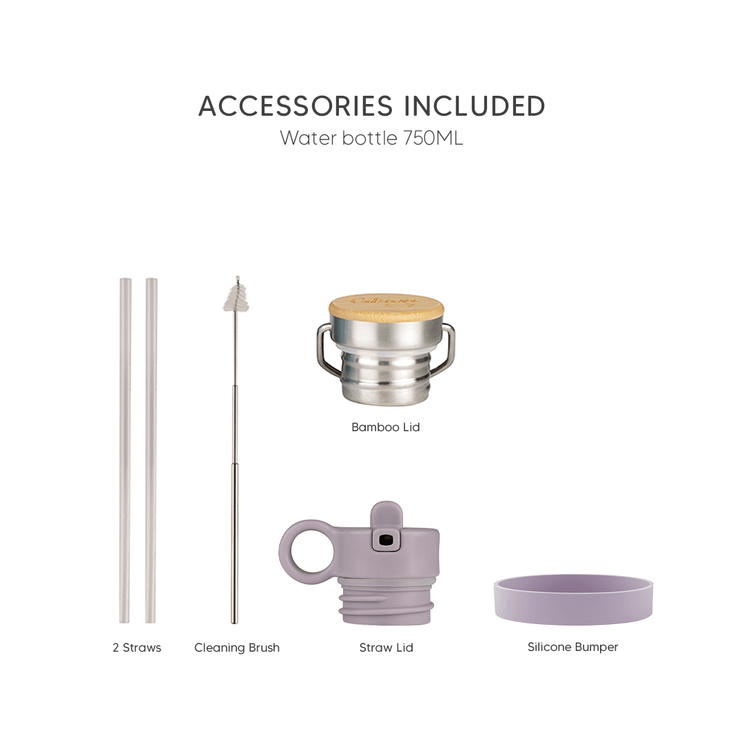 Citron Stainless Steel Water Bottle 750ml - Purple - Laadlee