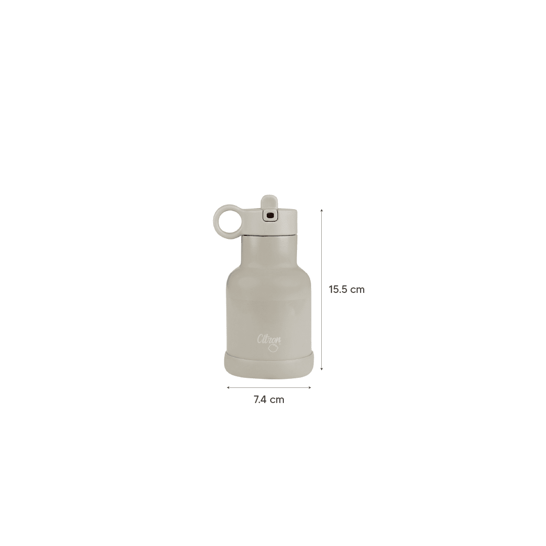 Citron Stainless Steel Water Bottle 250ml - Dino - Laadlee