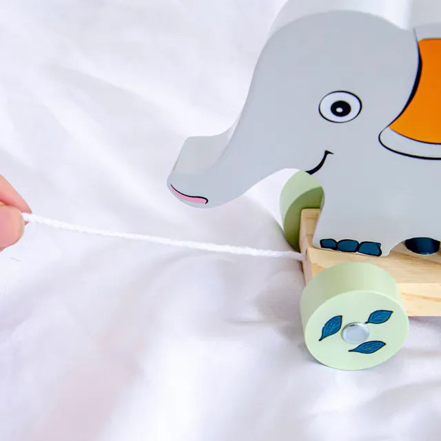 Woody Buddy - Safari Parade Pull along - Grey - Laadlee