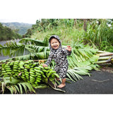Beach & Bandits Leopard Shark Baby Swimsuit - Laadlee