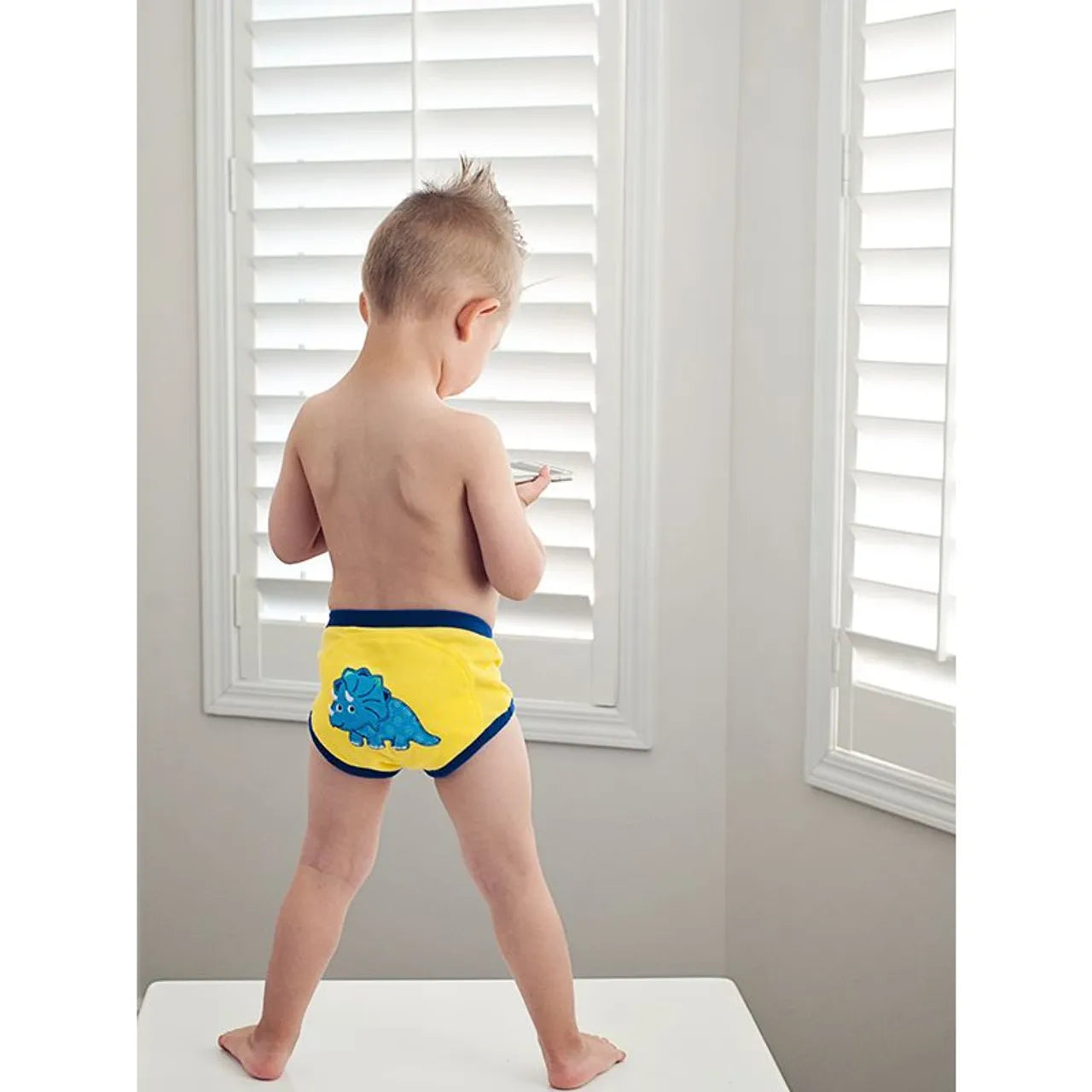 Zoocchini 3 Piece Organic Potty Training Pants Set - Boys - Pirate Pals - Laadlee