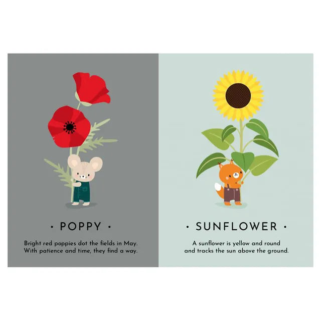 Sassi My First Cards - Nature - Laadlee