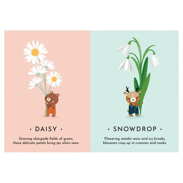 Sassi My First Cards - Nature - Laadlee