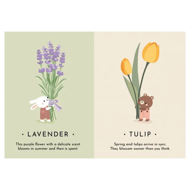 Sassi My First Cards - Nature - Laadlee