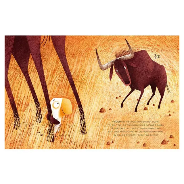 Sassi Sound Stories - In The Savannah - Laadlee