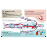 Sassi What, How, Why - The Human Body - Laadlee