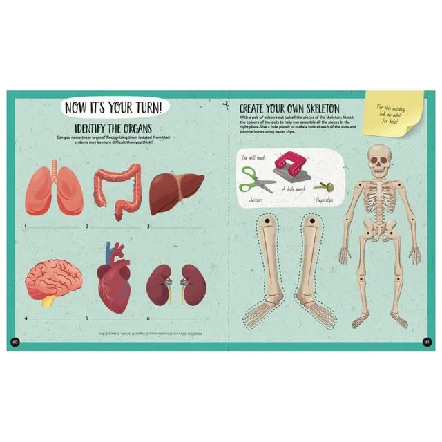 Sassi What, How, Why - The Human Body - Laadlee