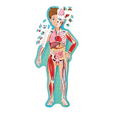 Sassi Travel, Learn and Explore - The Human Body - Laadlee