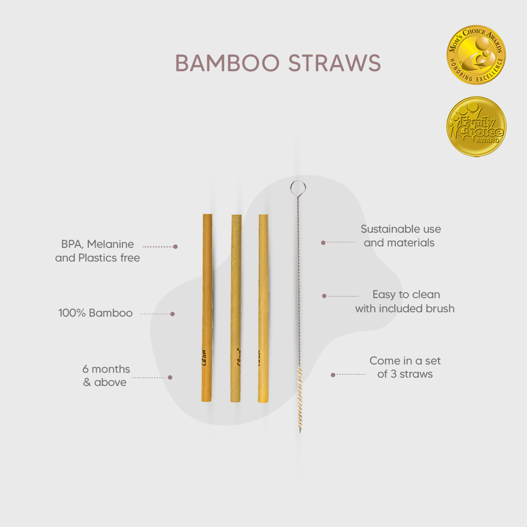 Citron Organic Bamboo Set of 3 Straws & Brush - Laadlee