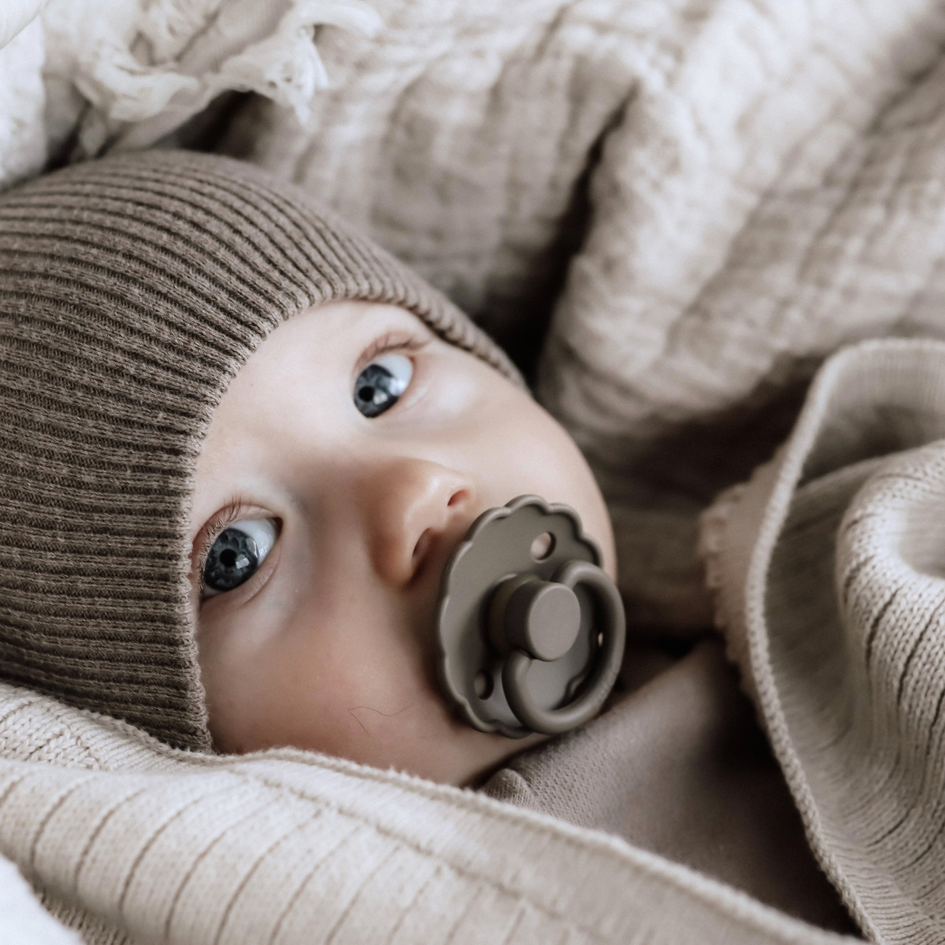 Frigg Daisy Latex Baby Pacifier 0-6M, 1Pack, Portobello - Size 1 - Laadlee