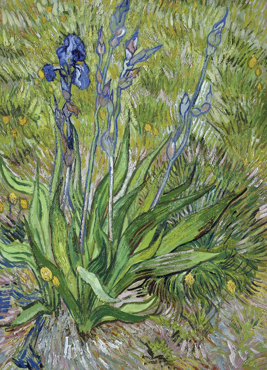 EuroGraphics Iris By Vincent Van Gogh 1000 Pieces Puzzle - Laadlee