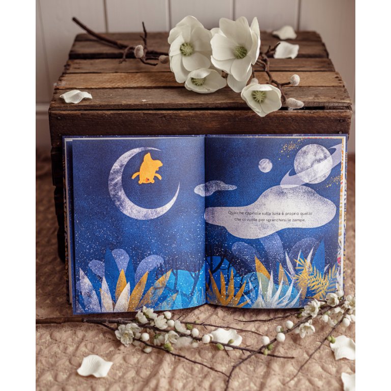 Sassi Picture Book - When I Wake - Laadlee